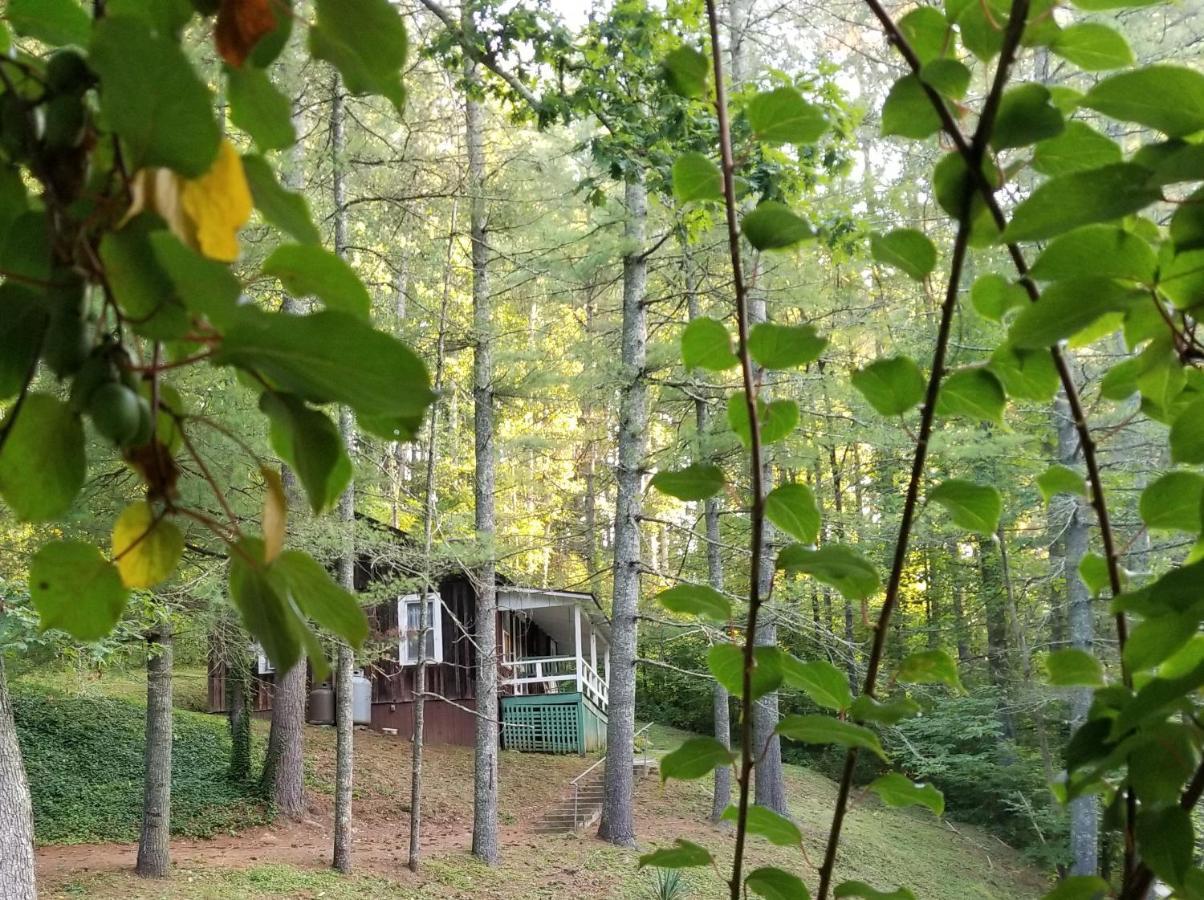 The Cabins At Healing Springs Crumpler Exterior photo